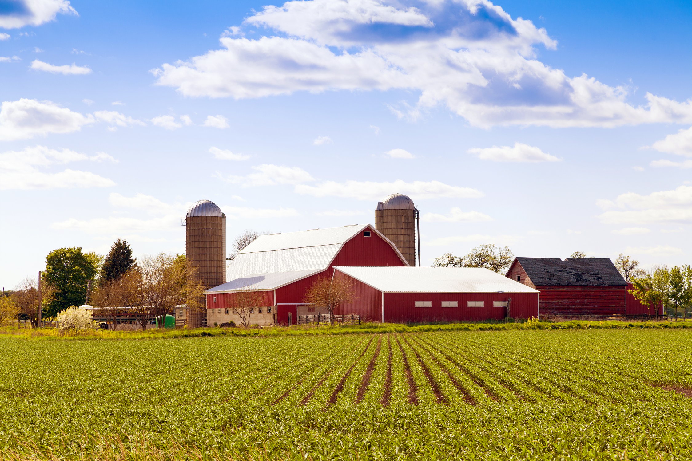 Farm Pickup Trucks For Sale: Your Comprehensive Guide to Finding the Right Workhorse
